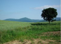 /album/belotografia-fotograficka-sutaz-2010/a2-pole-preview-jpg/