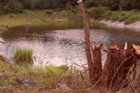 /album/belotografia-2011-/sdc12144-jpg/