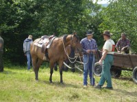 /album/belanska-podkova-2012/p5200458-jpg/