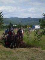 /album/belanska-podkova-2012/p5200459-jpg/